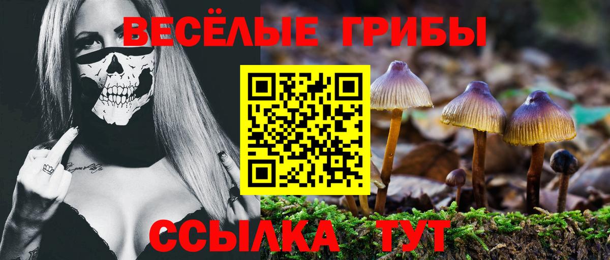 Ливны  Галлюциногенные грибы мицелий  Вход с VPN 